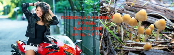 тгк Балахна